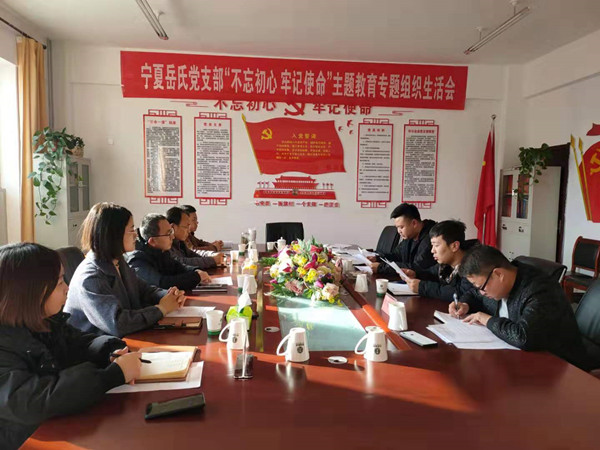 寧夏岳氏黨支部召開(kāi)“不忘初心，牢記使命”主題教育專題組織生活會(huì)